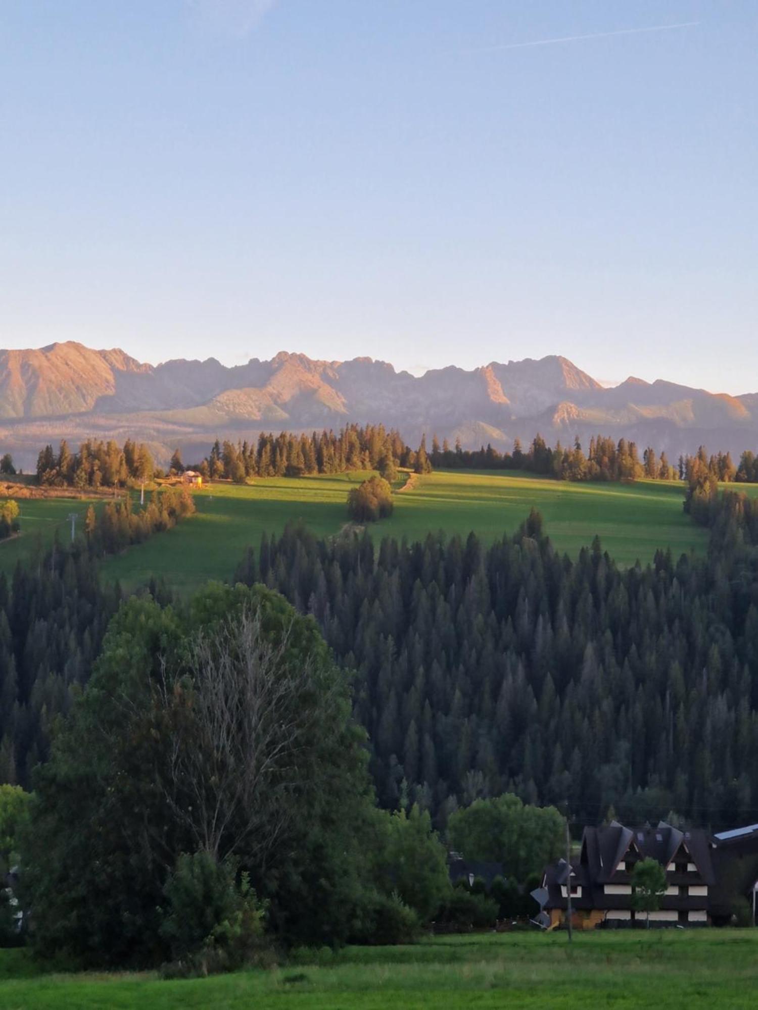 Apartamenty I Pokoje W Willi Na Ubocy Suche Exteriér fotografie