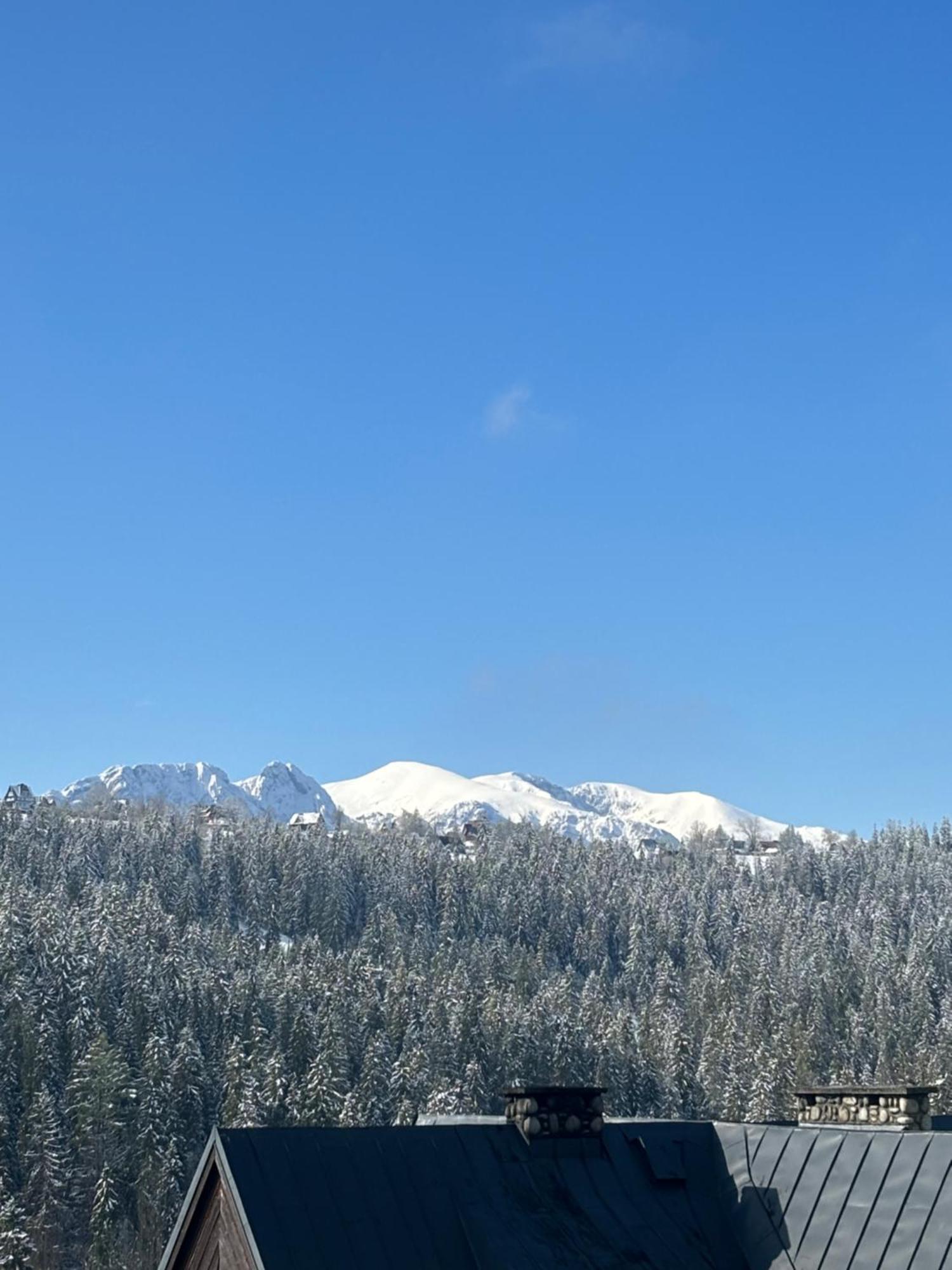 Apartamenty I Pokoje W Willi Na Ubocy Suche Exteriér fotografie